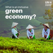 Inclusive Green Economy Emerging as a Strategic Priority for Governments Worldwide