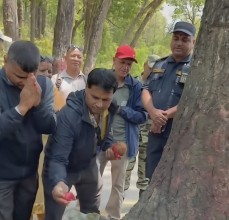 Ritual Performed Before Tree Cutting in Devghat Raises Discussion on Development and Cultural Values