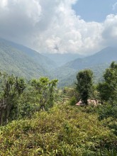 Australia Supports Sustainable Large Cardamom Value Chain Development in Nepal