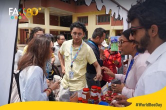 World Bee Day 2026 Celebrated at FAO Nepal, Highlighting the Role of Bees in Food Security and Sustainable Development