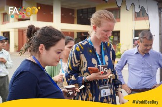 World Bee Day 2026 Celebrated at FAO Nepal, Highlighting the Role of Bees in Food Security and Sustainable Development