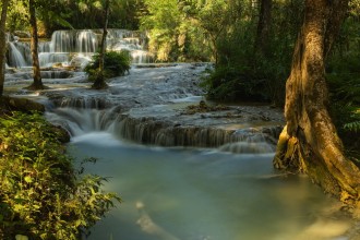 World Biodiversity Day 2026: Local Action Highlighted as Key to Global Biodiversity Goals