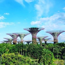 Singapore to Enforce Stricter Cooling System Rules to Cut Greenhouse Gas Emissions