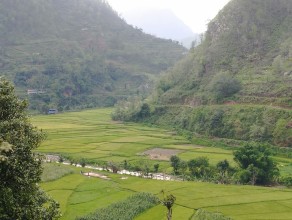 World Environment Day 2026: Turning Climate Commitments into Global Action