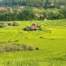 Farmers: The Unsung Custodians of Food Security and Rural Prosperity