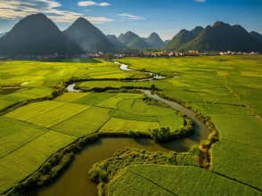 Asia-Pacific Faces Urgent Need for Food System Transformation as Nearly Two Billion Struggle to Access Healthy Diets