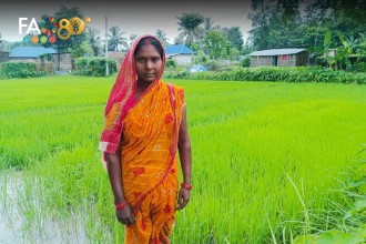 FAO Supports Disaster-Hit Farmers in Ilam and Saptari Through Climate-Smart Agriculture Initiative