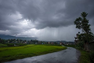 Nationwide Monsoon Brings Relief to Farmers as Paddy Transplantation Gains Momentum Across Nepal