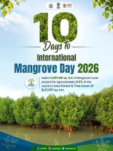 India Highlights Importance of Mangrove Conservation Ahead of International Mangrove Day 2026