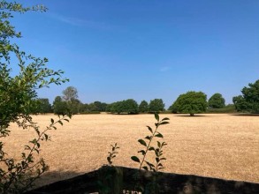 UK's 20th Century Climate Has 'Gone', Met Office Warns as Extreme Heat Becomes the New Normal