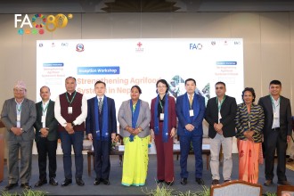 Nepal Launches FAO-China Supported Project to Strengthen Climate-Resilient Agrifood Systems