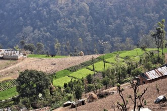 Nepal's Agriculture, Forestry and Environment Sectors Face Persistent Challenges While Offering Strong Opportunities for Sustainable Growth
