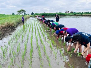 China-Nepal Collaboration Advances Hybrid Rice Research in Chitwan