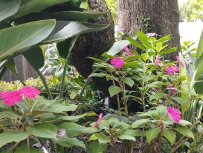 Urban Green Spaces Boost Mental Well-being While Helping Cities Cope with Rising Heat