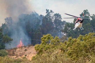 Spain and France Battle Devastating Wildfires as Extreme Heat Raises Risk of More Blazes