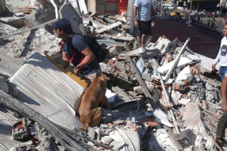 Colombia Declares National Emergency After Powerful 7.4-Magnitude Earthquake Devastates Western Region