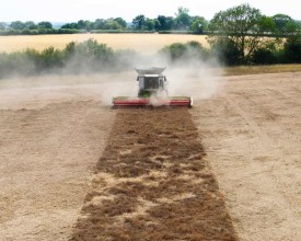 UK Farmers Turn to Tougher Crops and Beaver Dams as Historic Drought Deepens