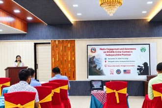 Journalists Gather in Dhangadhi to Strengthen Media Role in Combating Wildlife Crime