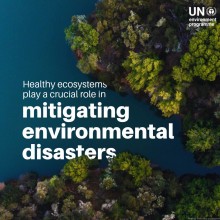 Healthy Ecosystems Can Help Reduce Disaster Risks, UNEP Highlights