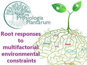 Global Research Initiative Highlights the Importance of Root Systems in Understanding Plant Growth Under Changing Environmental Conditions