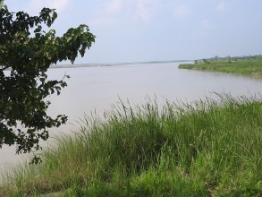 Tourism Booms in Koshi Tappu Wildlife Reserve: A Testament to Conservation and Eco-Tourism Success