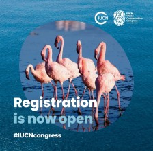 Global Leaders to Convene at IUCN World Conservation Congress 2025 in Abu Dhabi