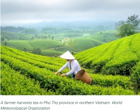 Asia Faces Alarming Climate Shift: WMO Report Highlights Rapid Warming