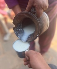 Reviving a Forgotten Elixir: Nepal’s Buttermilk Culture Seeks a Comeback Amid Modern Beverage Trends