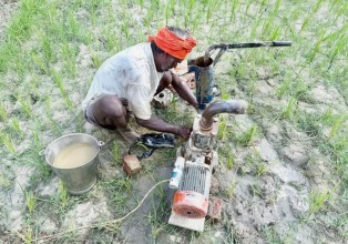 Monsoon Rainfall Below Average: Madhesh Declared Disaster-Affected Amid Worsening Water Crisis