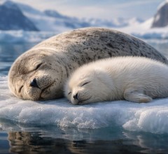 Climate Adaptation: Urgent Action Needed to Protect Lives, Food, Water and Livelihoods