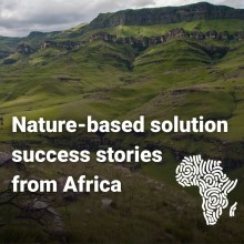 Nature-Based Solutions Strengthen Climate Resilience Across Africa