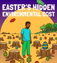 Unwrapping Deforestation: The Hidden Environmental Cost Behind Easter Chocolate