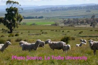 New Scientific Method Enables Farms to Measure True Environmental Sustainability