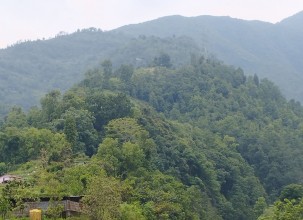 Government Unveils Rs 12.31 Billion Budget for Forestry, Environment and Climate Sector, Emphasises Green Growth and Climate Finance