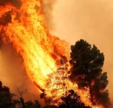Europe’s Wildfire Risk Could Rise 39% Even Under Best-Case Climate Scenario