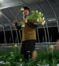 Japanese Farmers Turn to Night Work as Extreme Heat Reshapes Agriculture