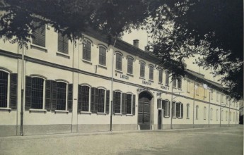 Global Environmental Developments Highlight Growing Policy, Climate, and Sustainability Challenges