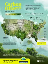 Carbon Offsets Surge Across U.S. States as Electricity Demand Climbs in 2025