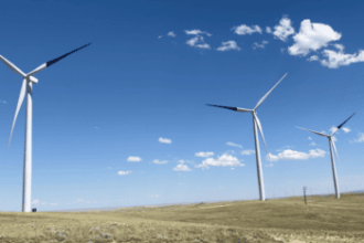 Global Environmental News: Climate Policy, Himalayan Flood Recovery and Biodiversity Under Growing Pressure