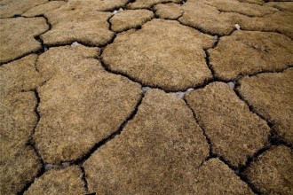 Hidden Environmental Crises Demand Urgent Global Attention