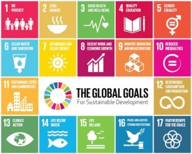Global Progress on Sustainable Development Goals Falls Behind 2030 Targets