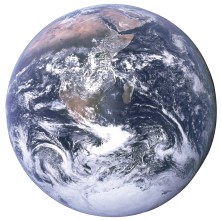 🌍 Ecosphere News | Global Environmental Update