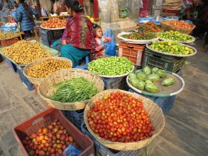 Vehicle-Free Asan Every Saturday from Today