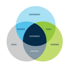 Innovation Emerges as a Key Driver of Global Sustainability Efforts