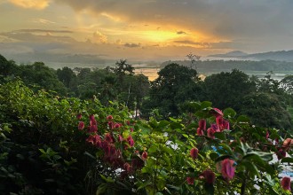 UN Biodiversity Summit Faces Critical Test as Report Warns Progress on Nature Targets Is Falling Behind