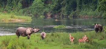 Nepal Supreme Court Strikes Down Law Allowing Infrastructure Projects in Protected Areas