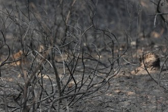 Western Europe Records Hottest June-July Period on Record, EU Scientists Confirm