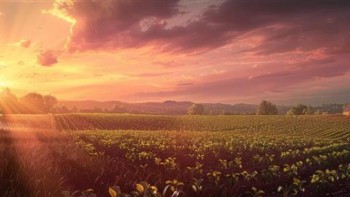 Wealthiest 10% Responsible for Majority of Heat Extremes, Study Reveals