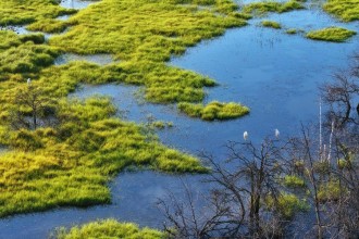 China's Landmark Ecological and Environmental Code Takes Effect, Strengthening Legal Foundation for Green Modernization