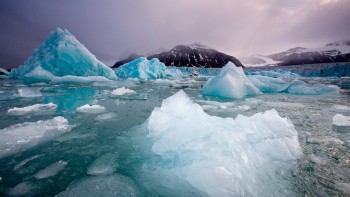 Arctic Sea Ice Hits Record Low in 2025, Alarming Scientists Worldwide